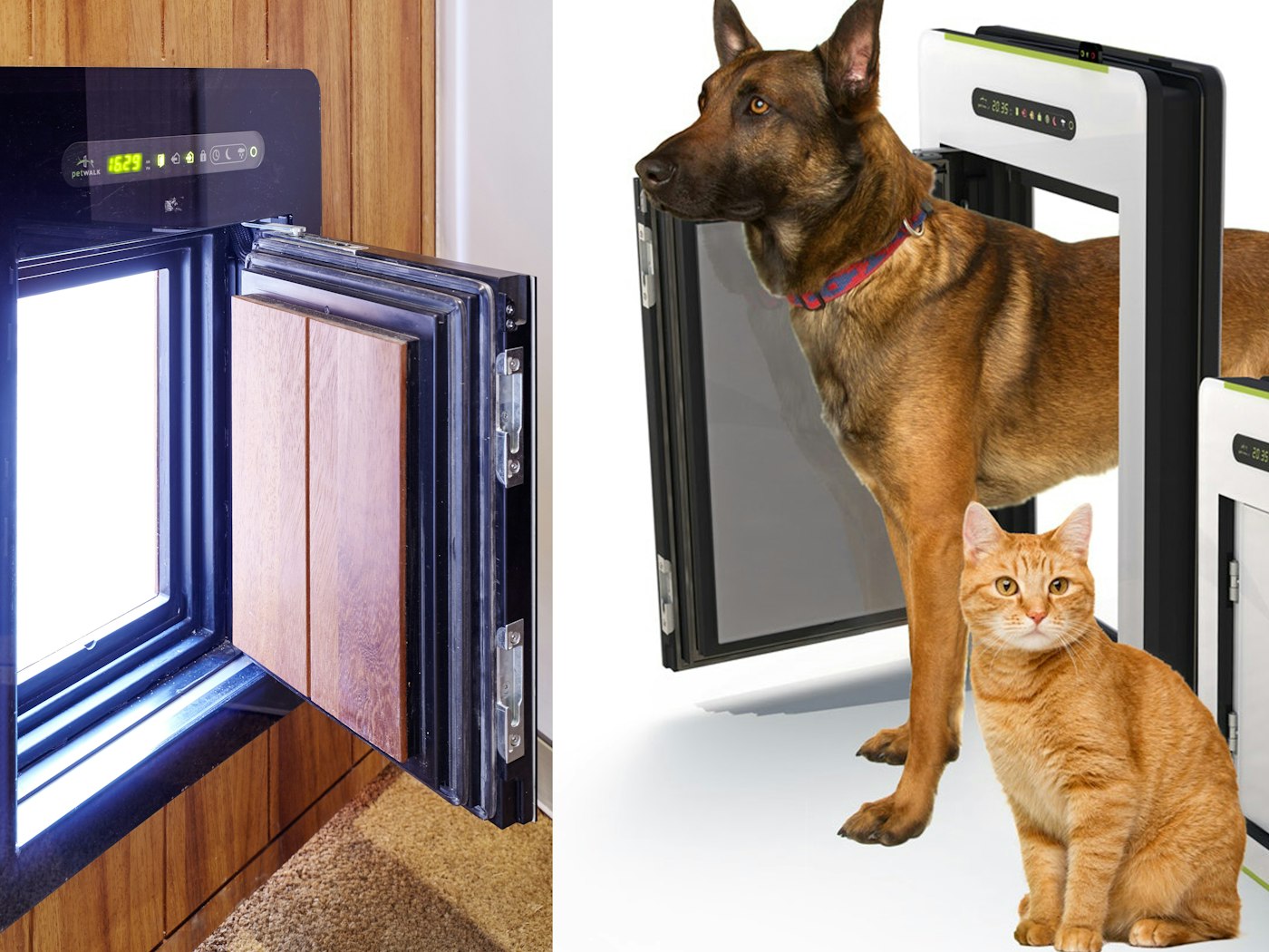 designer petflap with a difference cat and dog