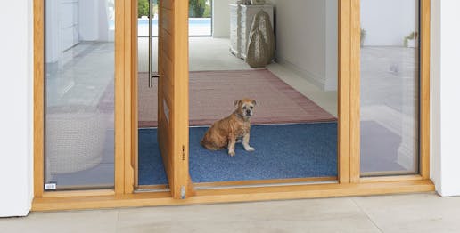 designer petflap with a difference header 3