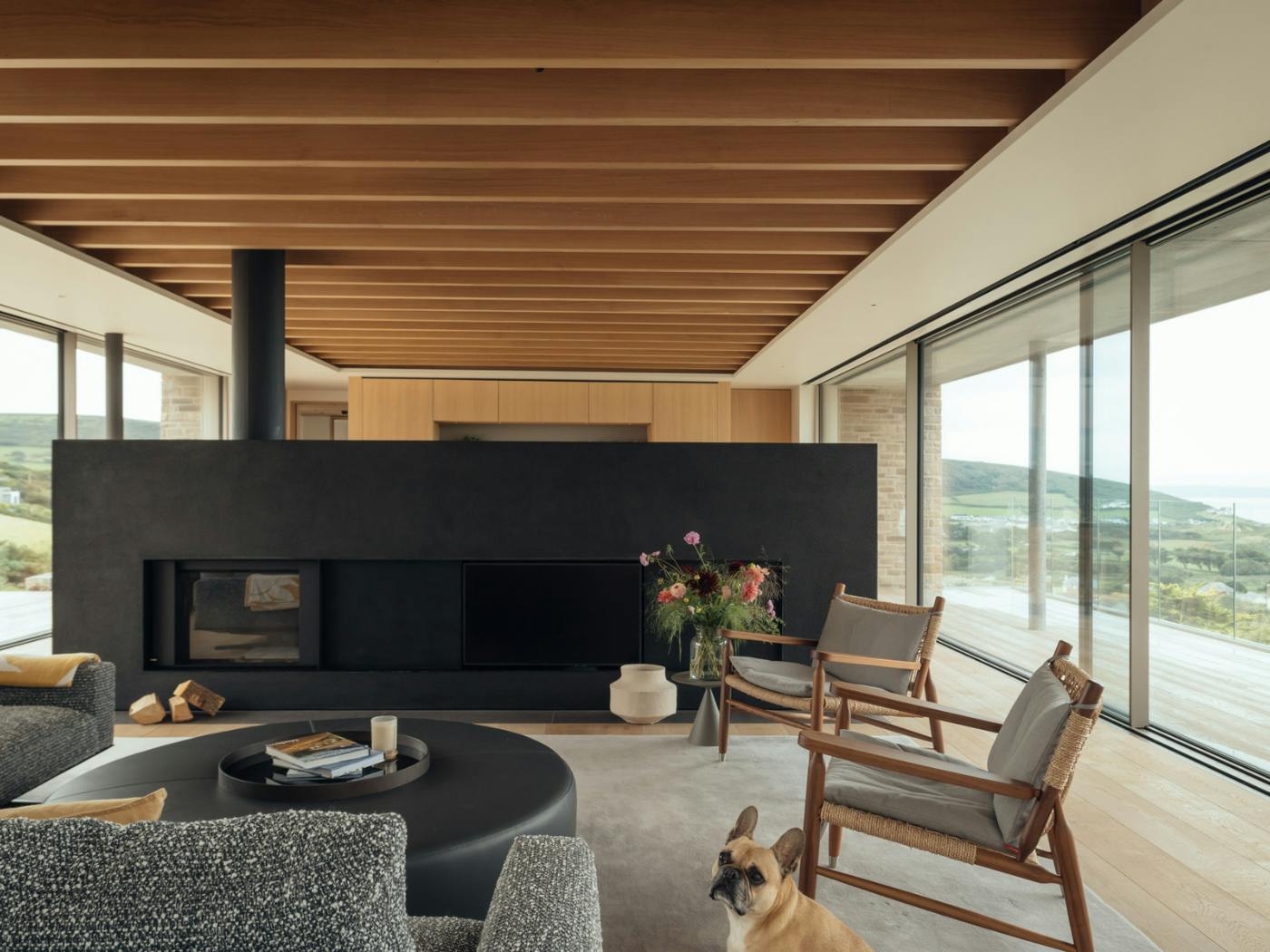 Landscape_living area with dog