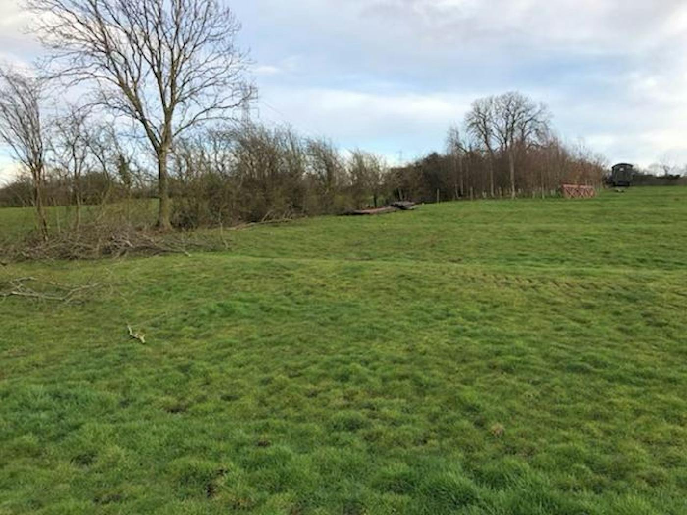 The perfect place to plant another 200 trees