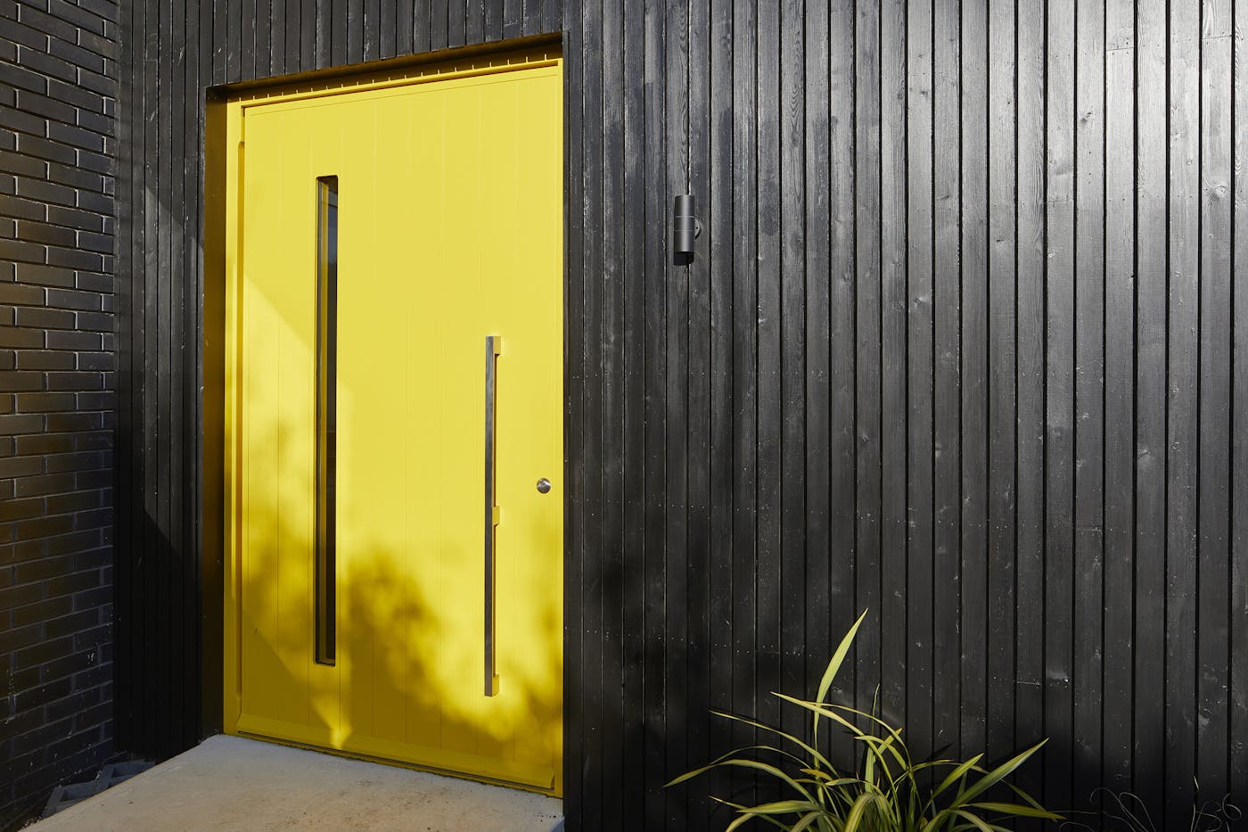 terano | painted yellow | option 11