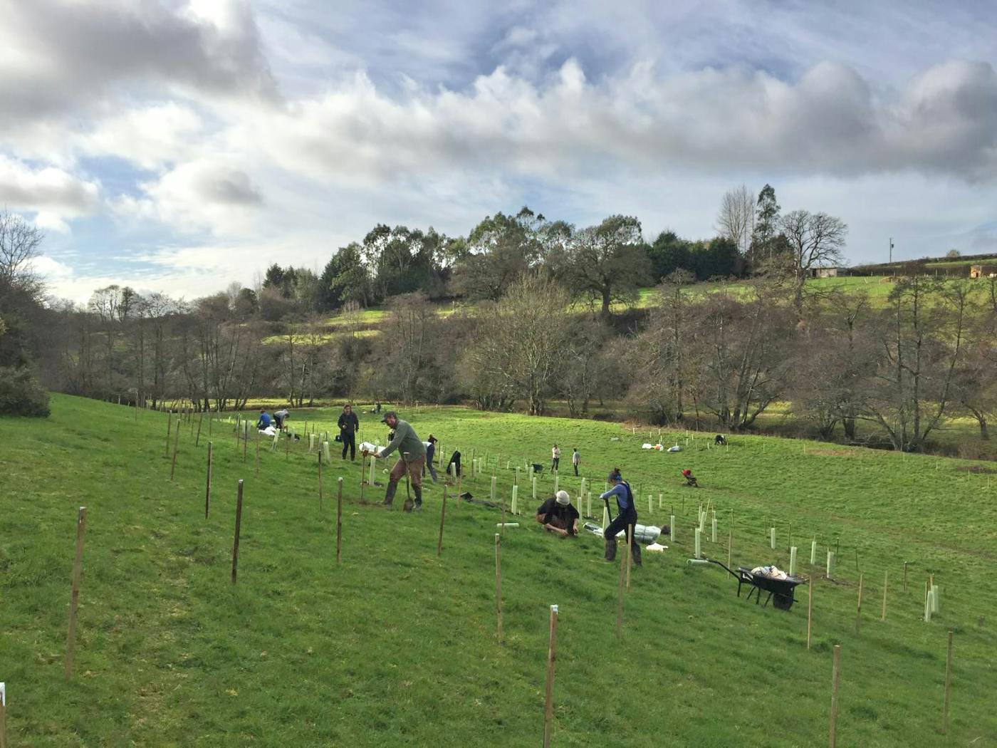 Volunteers planting trees at Hems Down, Devon ©eForests Ltd